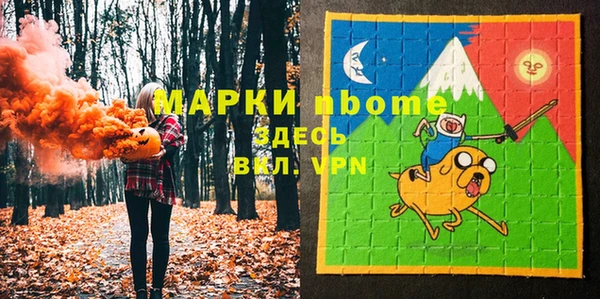 индика Алзамай