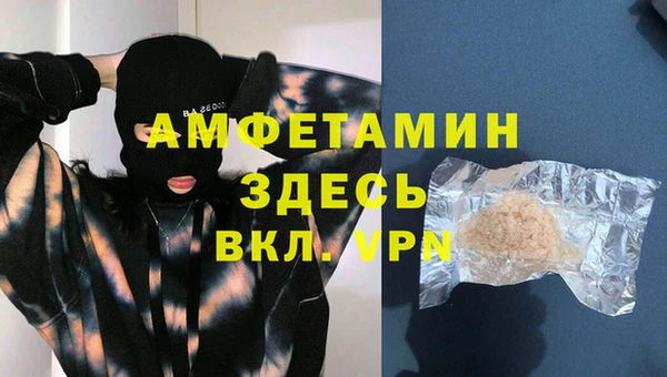 индика Алзамай