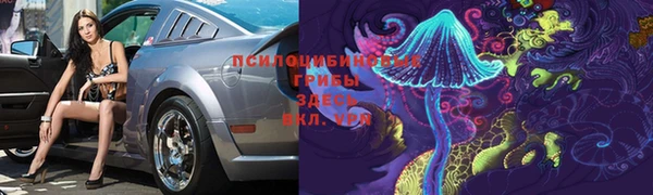 спиды Алексин