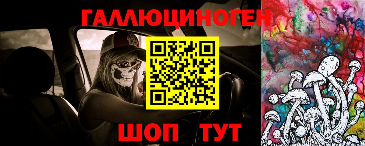 Нальчик  Галлюциногенные грибы Psilocybe  Вход с VPN 