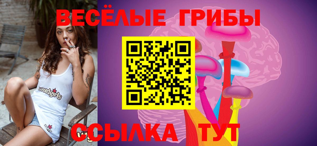 Галлюциногенные грибы MAGIC MUSHROOMS Нальчик